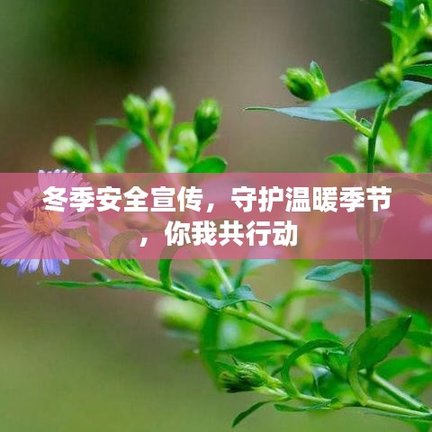 冬季安全宣传，守护温暖季节，你我共行动