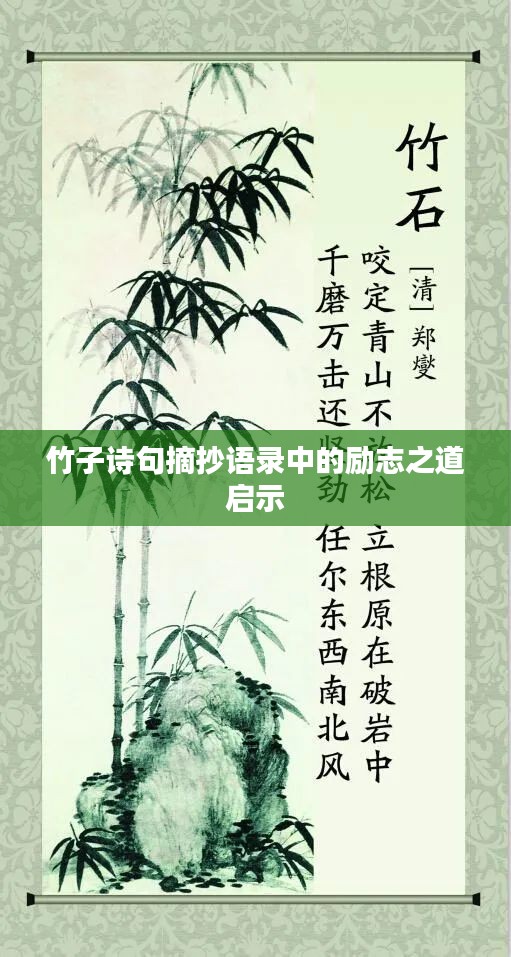 竹子诗句摘抄语录中的励志之道启示