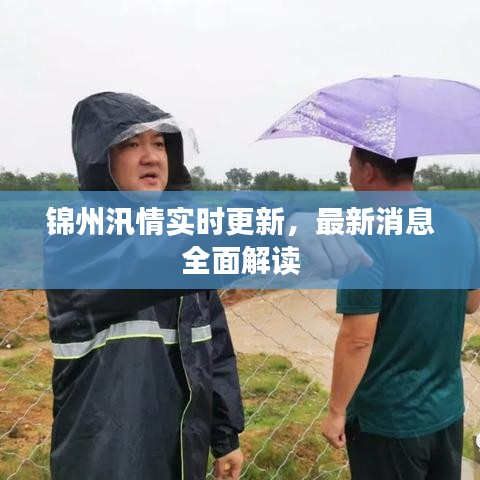 锦州汛情实时更新，最新消息全面解读