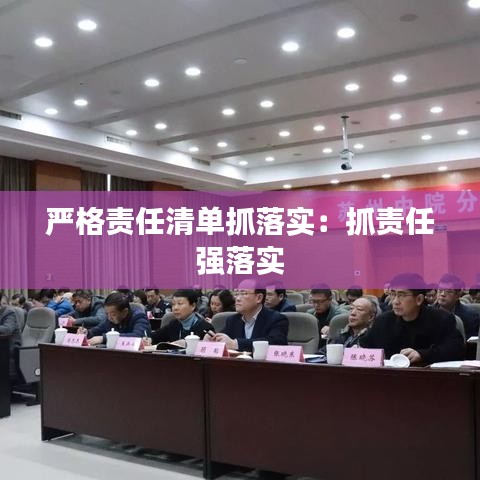 严格责任清单抓落实：抓责任 强落实 