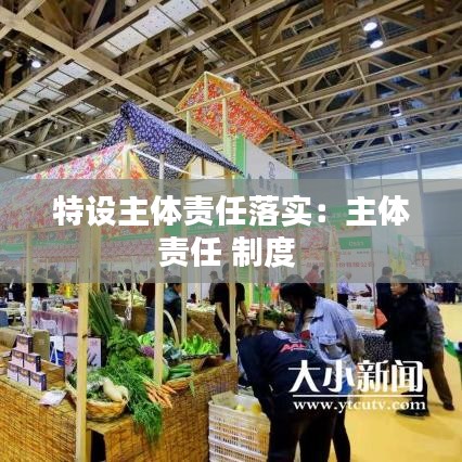 特设主体责任落实：主体责任 制度 