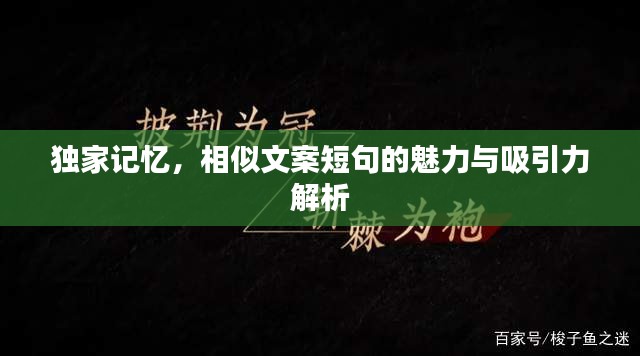 独家记忆，相似文案短句的魅力与吸引力解析