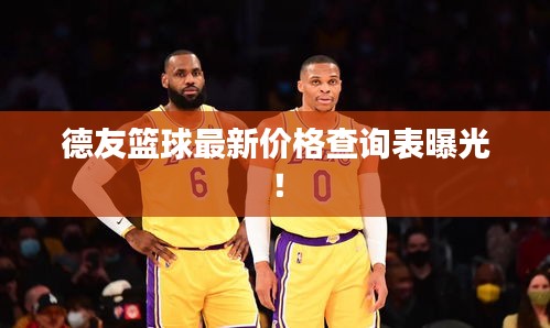 德友篮球最新价格查询表曝光！