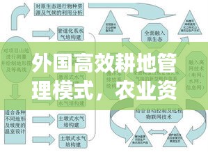 外国高效耕地管理模式，农业资源的先进探索与智能管理
