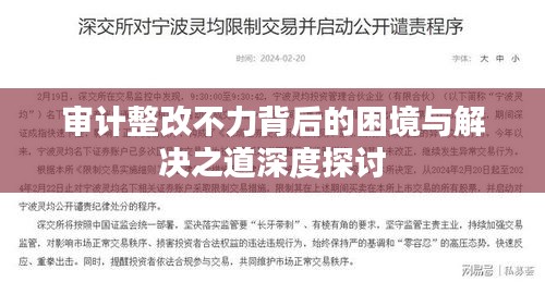 审计整改不力背后的困境与解决之道深度探讨