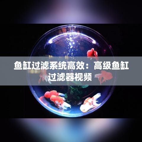 鱼缸过滤系统高效：高级鱼缸过滤器视频 