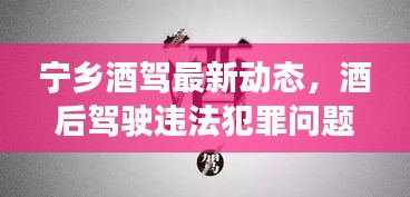 宁乡酒驾最新动态，酒后驾驶违法犯罪问题及其社会影响分析