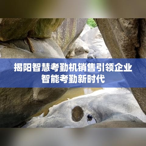 揭阳智慧考勤机销售引领企业智能考勤新时代