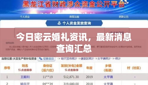 今日密云婚礼资讯，最新消息查询汇总