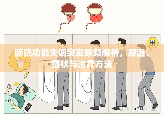 膀胱功能失调突发尿频解析，原因、症状与治疗方法