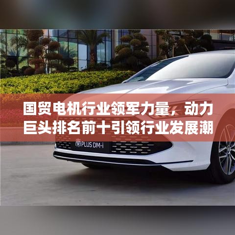 国贸电机行业领军力量，动力巨头排名前十引领行业发展潮流