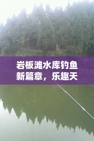 岩板滩水库钓鱼新篇章，乐趣天堂的独家探索