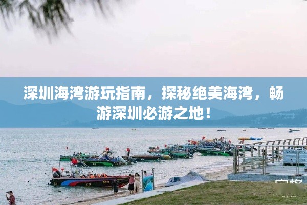 深圳海湾游玩指南，探秘绝美海湾，畅游深圳必游之地！