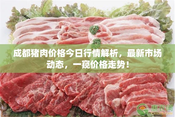 成都猪肉价格今日行情解析，最新市场动态，一窥价格走势！