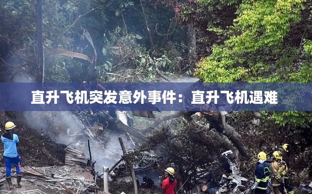 直升飞机突发意外事件：直升飞机遇难 