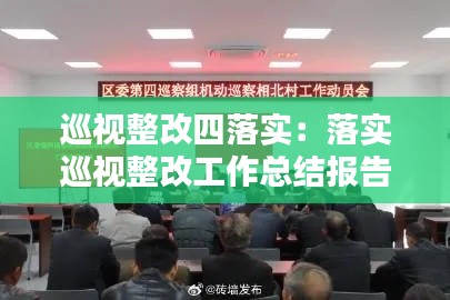 巡视整改四落实：落实巡视整改工作总结报告范文 