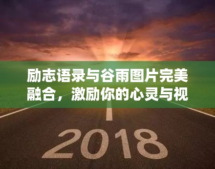 一花独放 第2页
