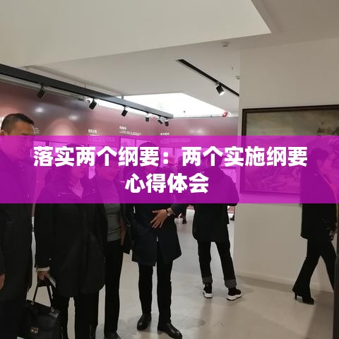 落实两个纲要：两个实施纲要心得体会 