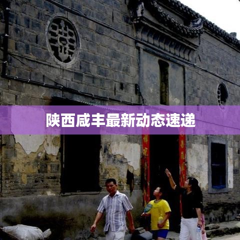 陕西咸丰最新动态速递