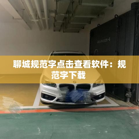 聊城规范字点击查看软件：规范字下载 