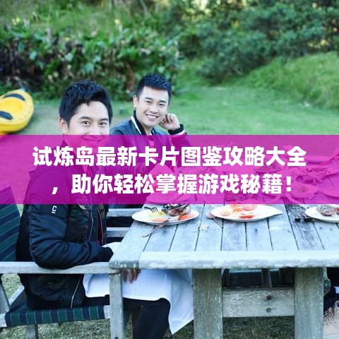 试炼岛最新卡片图鉴攻略大全，助你轻松掌握游戏秘籍！