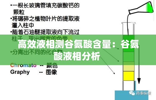 高效液相测谷氨酸含量：谷氨酸液相分析 