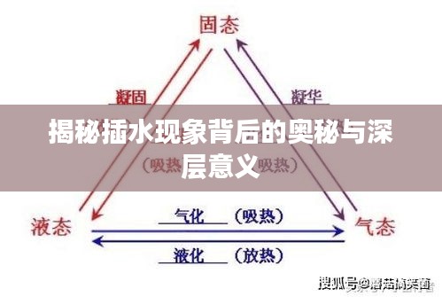 揭秘插水现象背后的奥秘与深层意义