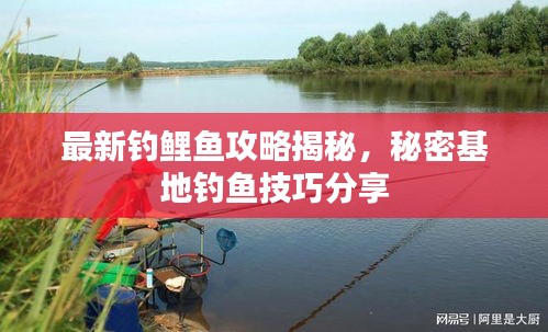 最新钓鲤鱼攻略揭秘，秘密基地钓鱼技巧分享