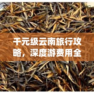 千元级云南旅行攻略，深度游费用全解析