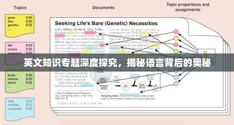 英文知识专题深度探究，揭秘语言背后的奥秘