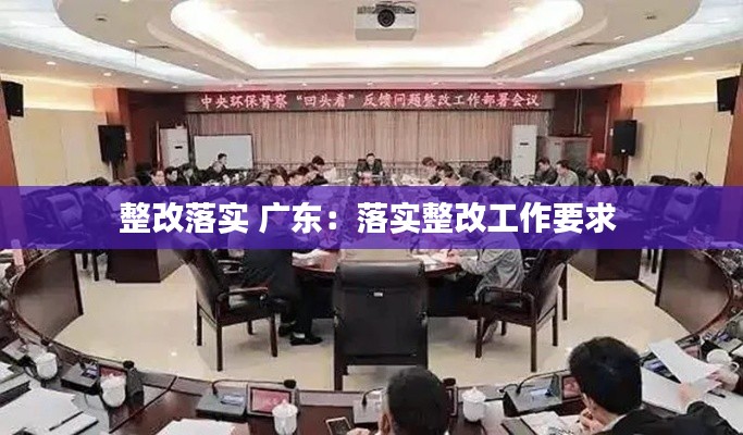 整改落实 广东：落实整改工作要求 