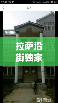 拉萨沿街独家独院：拉萨院子别墅 