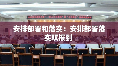 安排部署和落实：安排部署落实双报到 