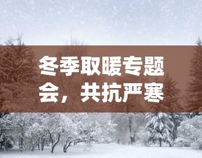 冬季取暖专题会，共抗严寒，温暖你我他
