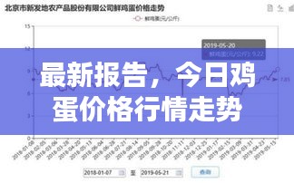 最新报告，今日鸡蛋价格行情走势分析（XX月29日）