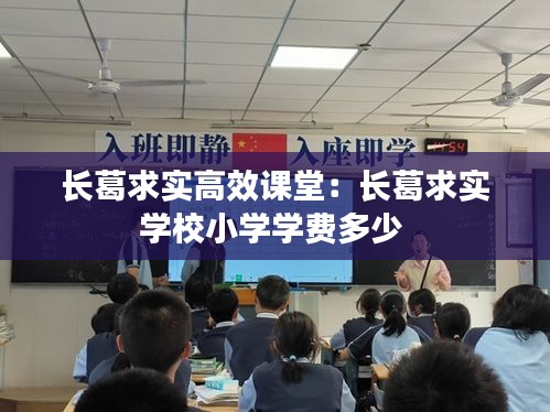 衣不重采 第2页