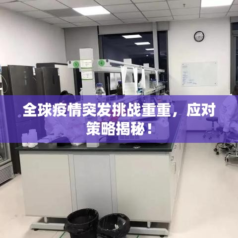 全球疫情突发挑战重重，应对策略揭秘！