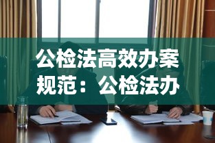 公检法高效办案规范：公检法办案程序 