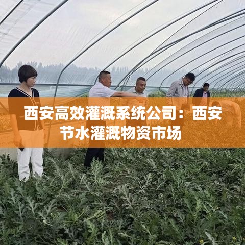 西安高效灌溉系统公司：西安节水灌溉物资市场 