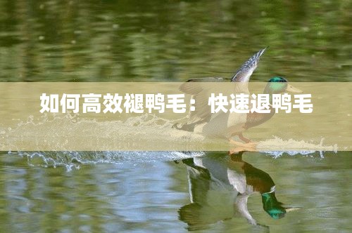 如何高效褪鸭毛：快速退鸭毛 