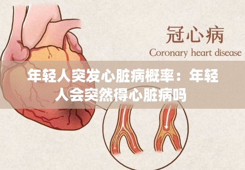 年轻人突发心脏病概率：年轻人会突然得心脏病吗 