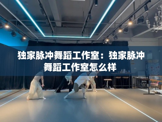 独家脉冲舞蹈工作室：独家脉冲舞蹈工作室怎么样 