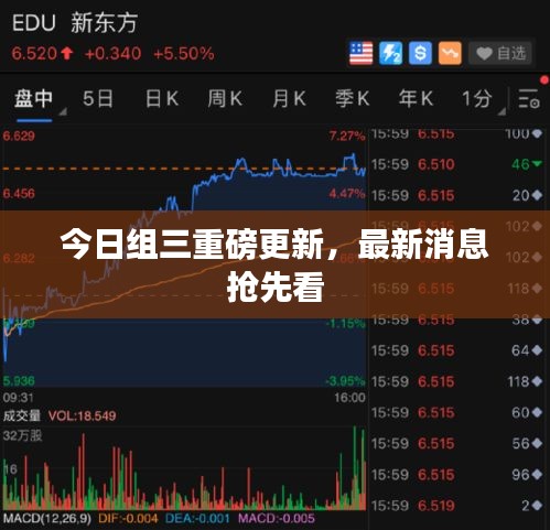 今日组三重磅更新，最新消息抢先看