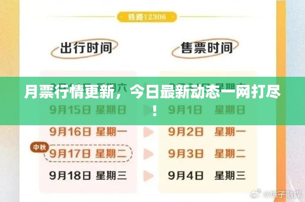 月票行情更新，今日最新动态一网打尽！