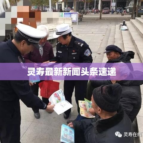 灵寿最新新闻头条速递
