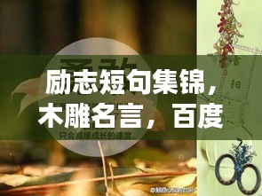 励志短句集锦，木雕名言，百度收录标准标题
