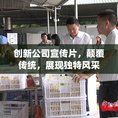 创新公司宣传片，颠覆传统，展现独特风采