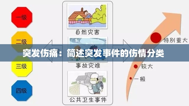突发伤痛：简述突发事件的伤情分类 