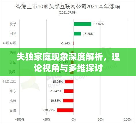 失独家庭现象深度解析，理论视角与多维探讨