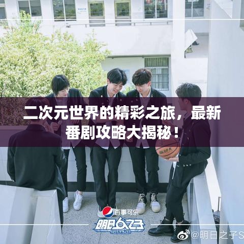 二次元世界的精彩之旅，最新番剧攻略大揭秘！